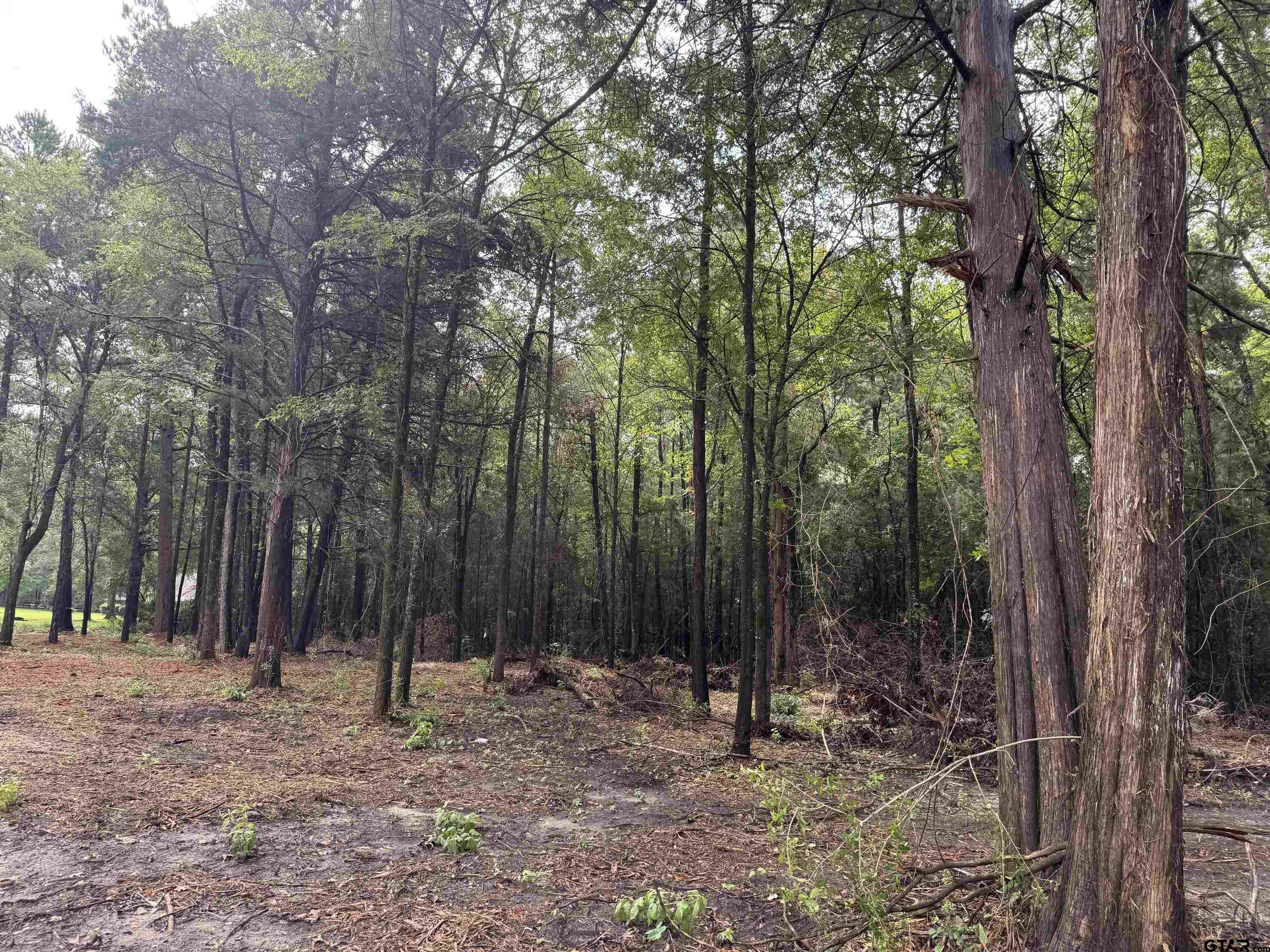 11503 C R 168 Tyler, TX 75703 - Photo 2 of 13 a backyard of a house with lots of trees