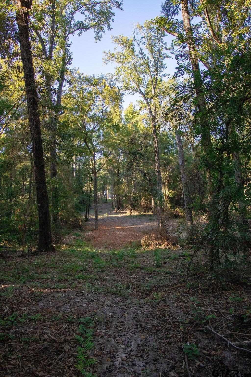 11503 C R 168 Tyler, TX 75703 - Photo 6 of 13 a view of outdoor space with trees