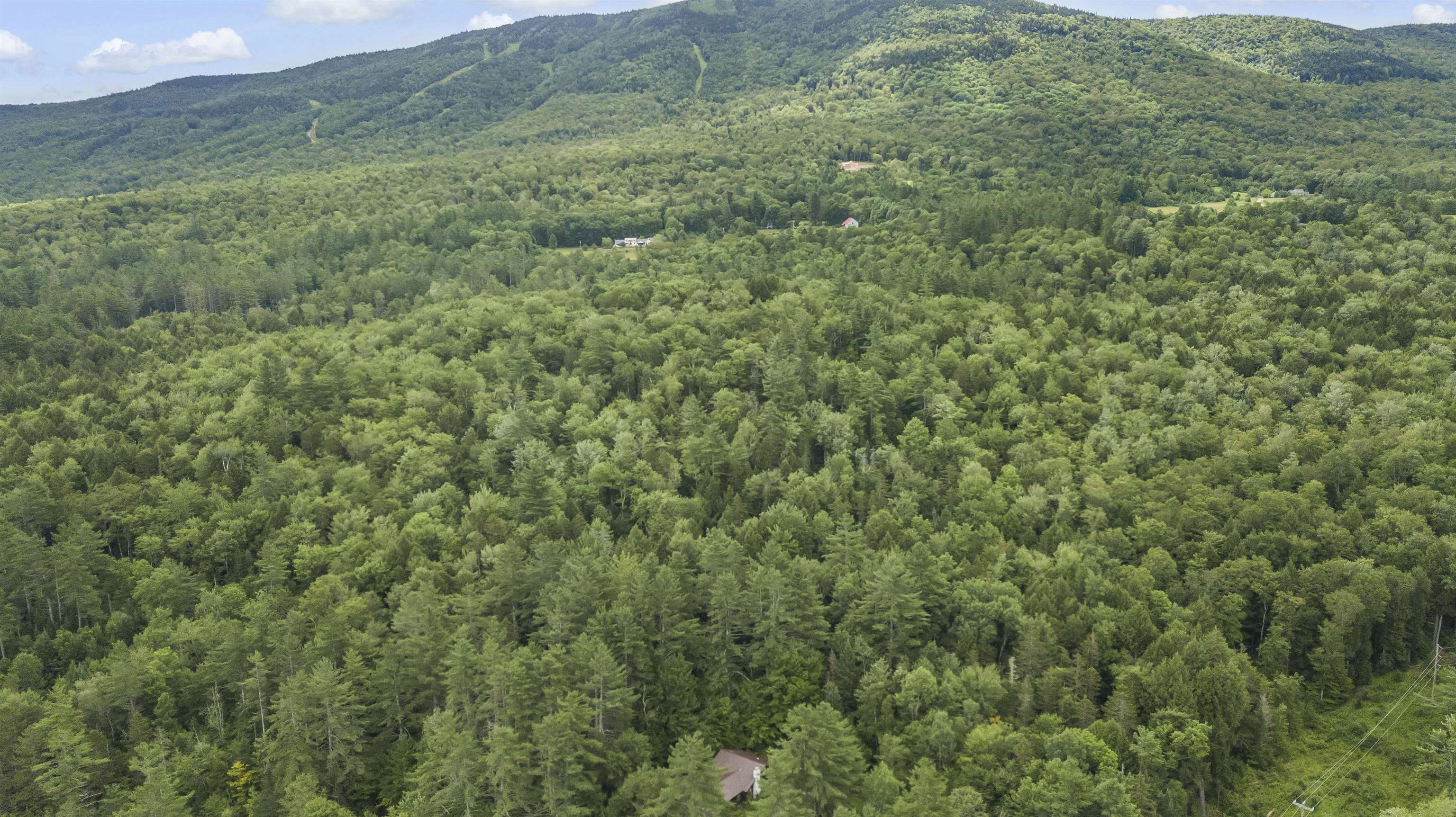 1966 Thompsonburg Road Londonderry, VT 05155 - Photo 4 of 26
