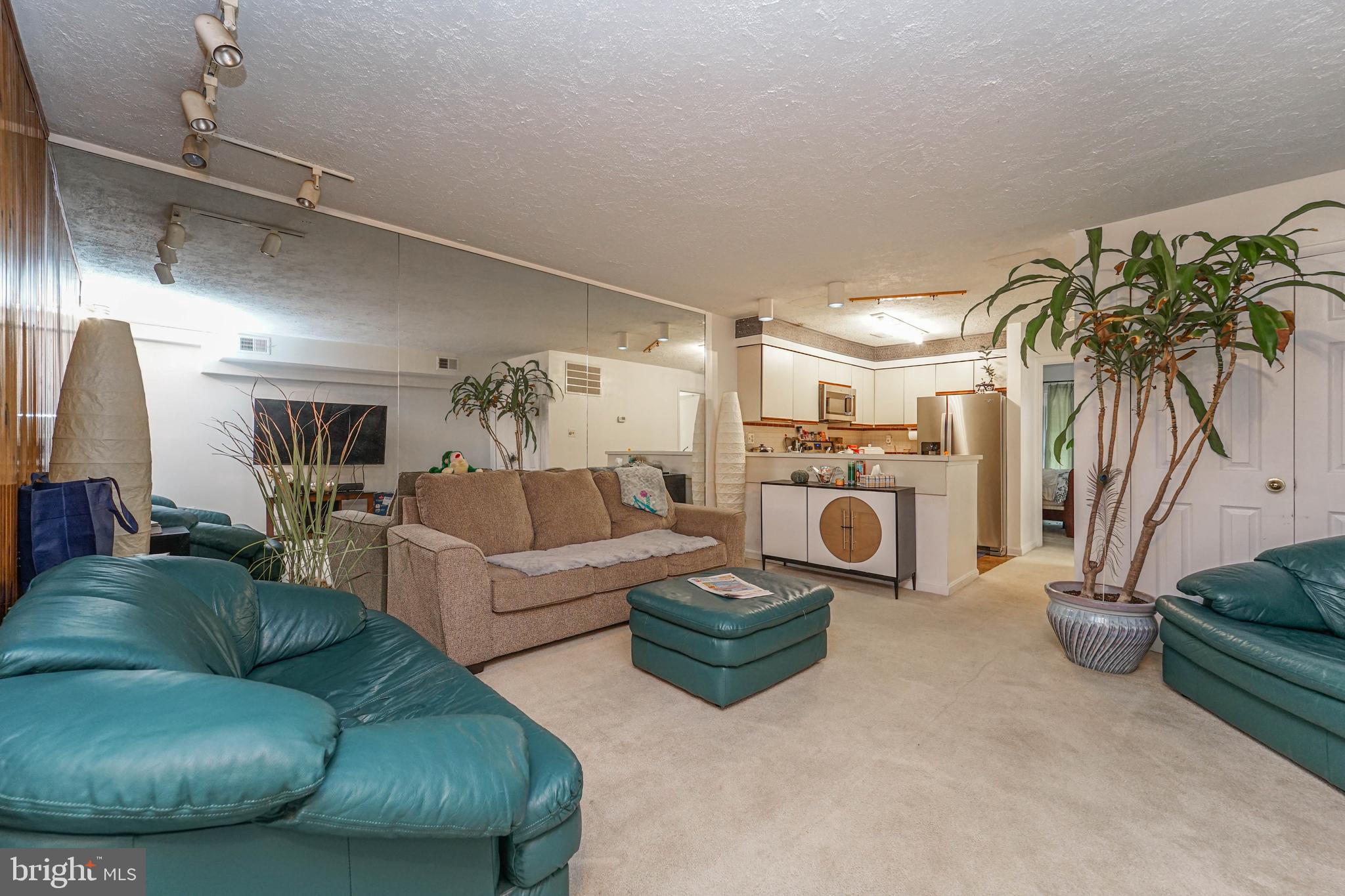 8 Queen Victoria Way Chester, MD 21619 - Photo 16 of 30 a living room with furniture and a potted plant