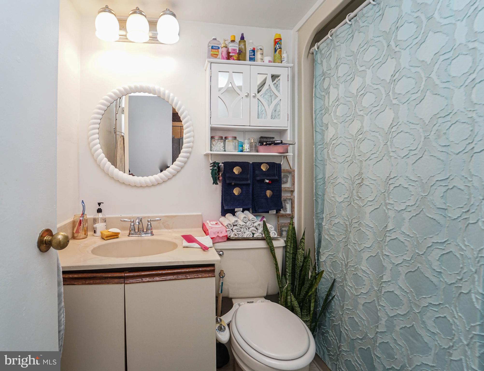 8 Queen Victoria Way Chester, MD 21619 - Photo 25 of 30 a bathroom with a sink mirror and toilet