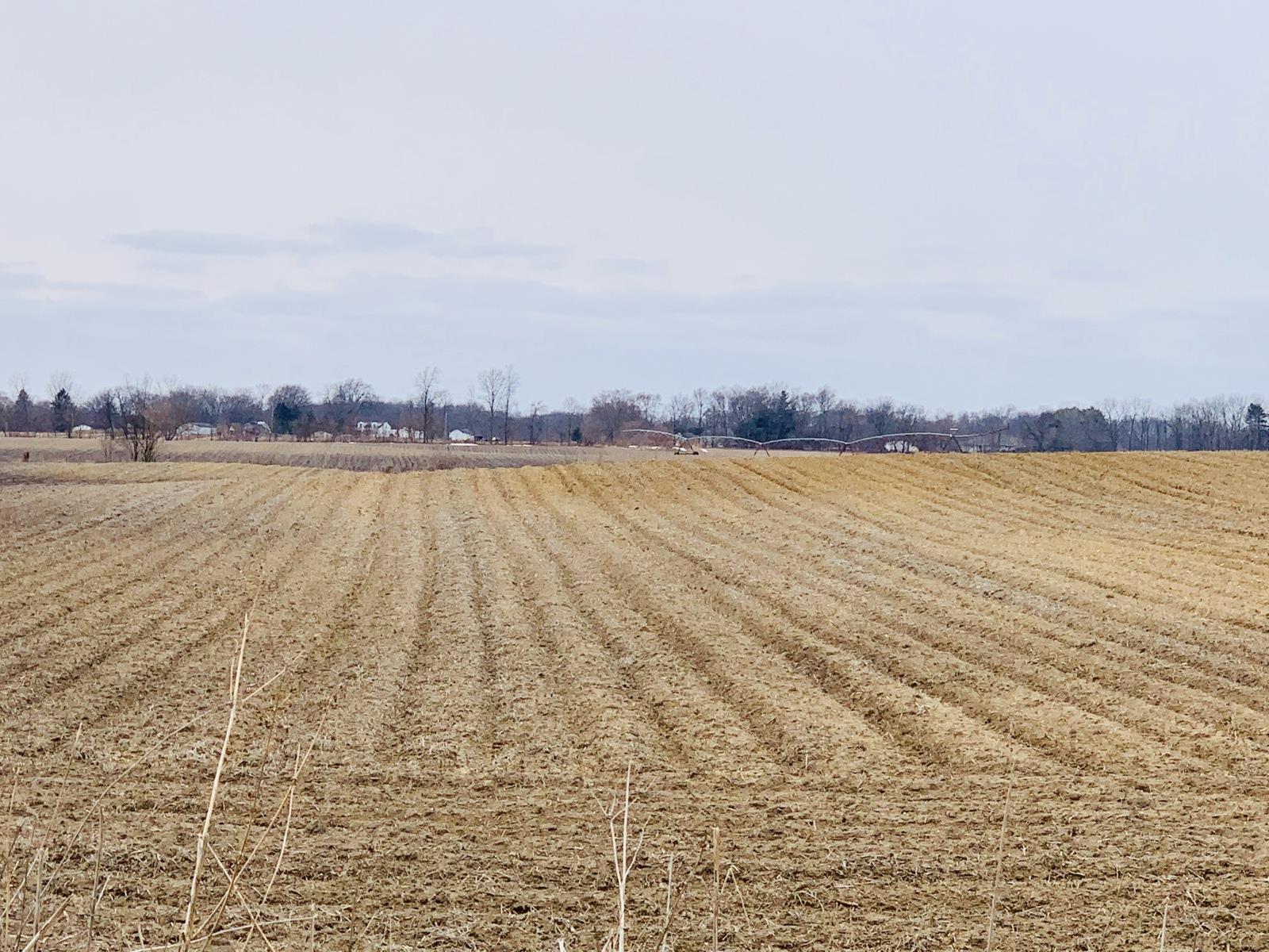 25356 Layton Road North Liberty, IN 46554 - Photo 1 of 16