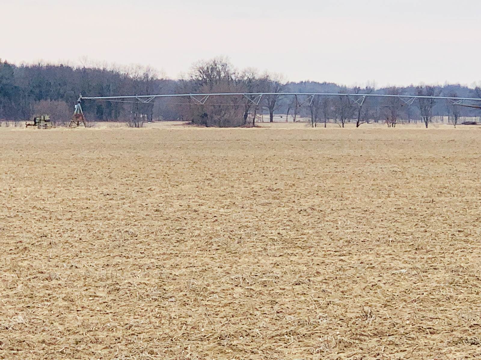 25356 Layton Road North Liberty, IN 46554 - Photo 4 of 16