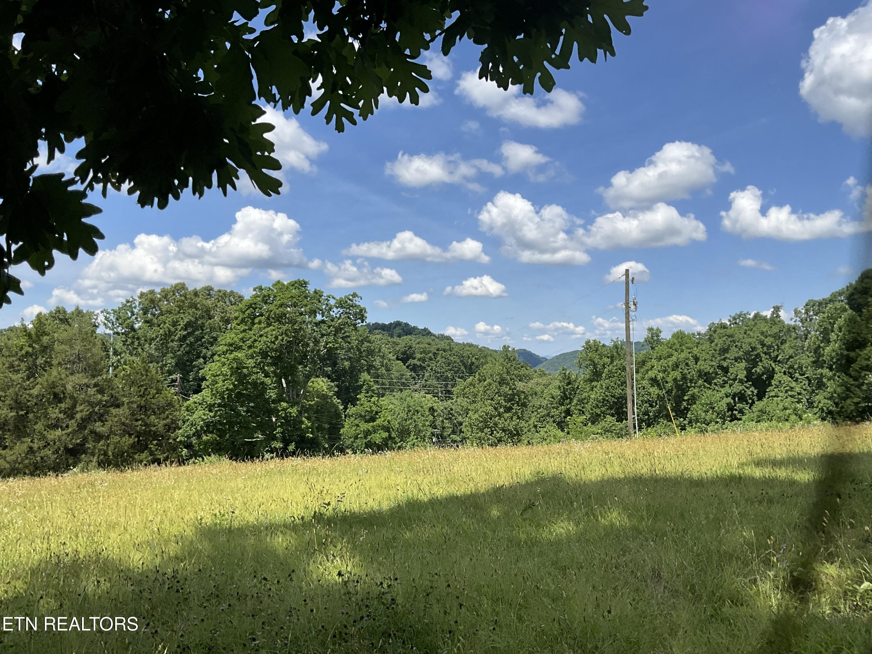 1295 Ailor Gap Road Luttrell, TN 37779 - Photo 40 of 40 IMG_1603