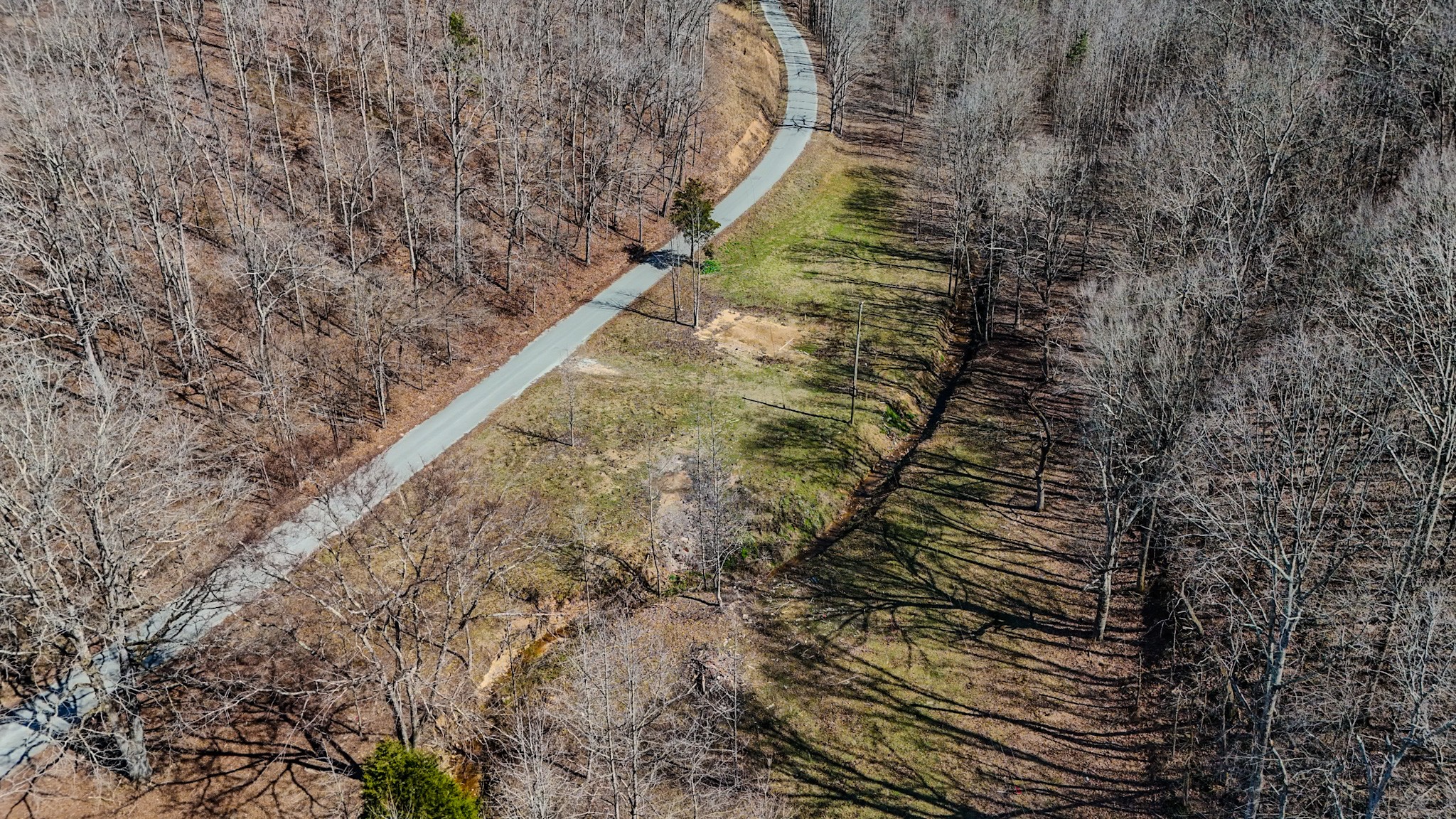 375 Roanoke Creek Road Collinwood, TN 38450 - Photo 1 of 37
