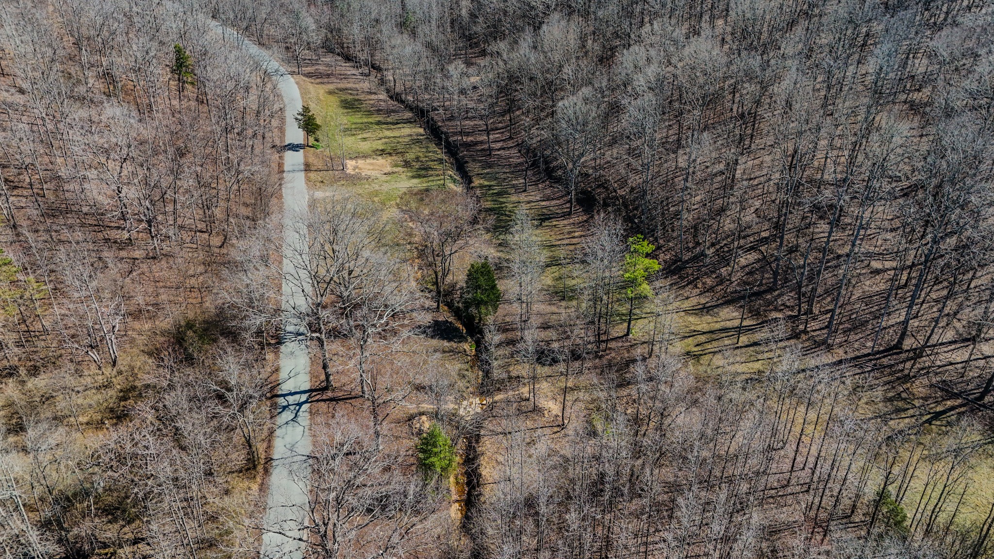 375 Roanoke Creek Road Collinwood, TN 38450 - Photo 11 of 37