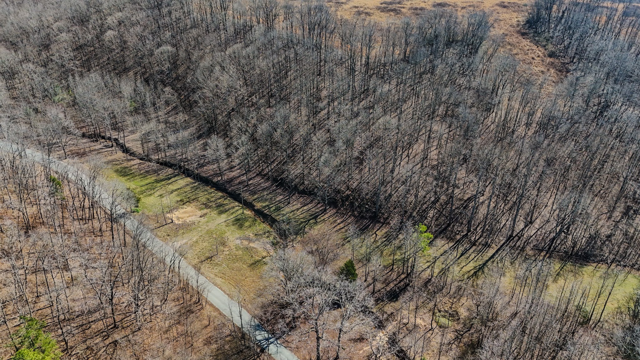 375 Roanoke Creek Road Collinwood, TN 38450 - Photo 12 of 37