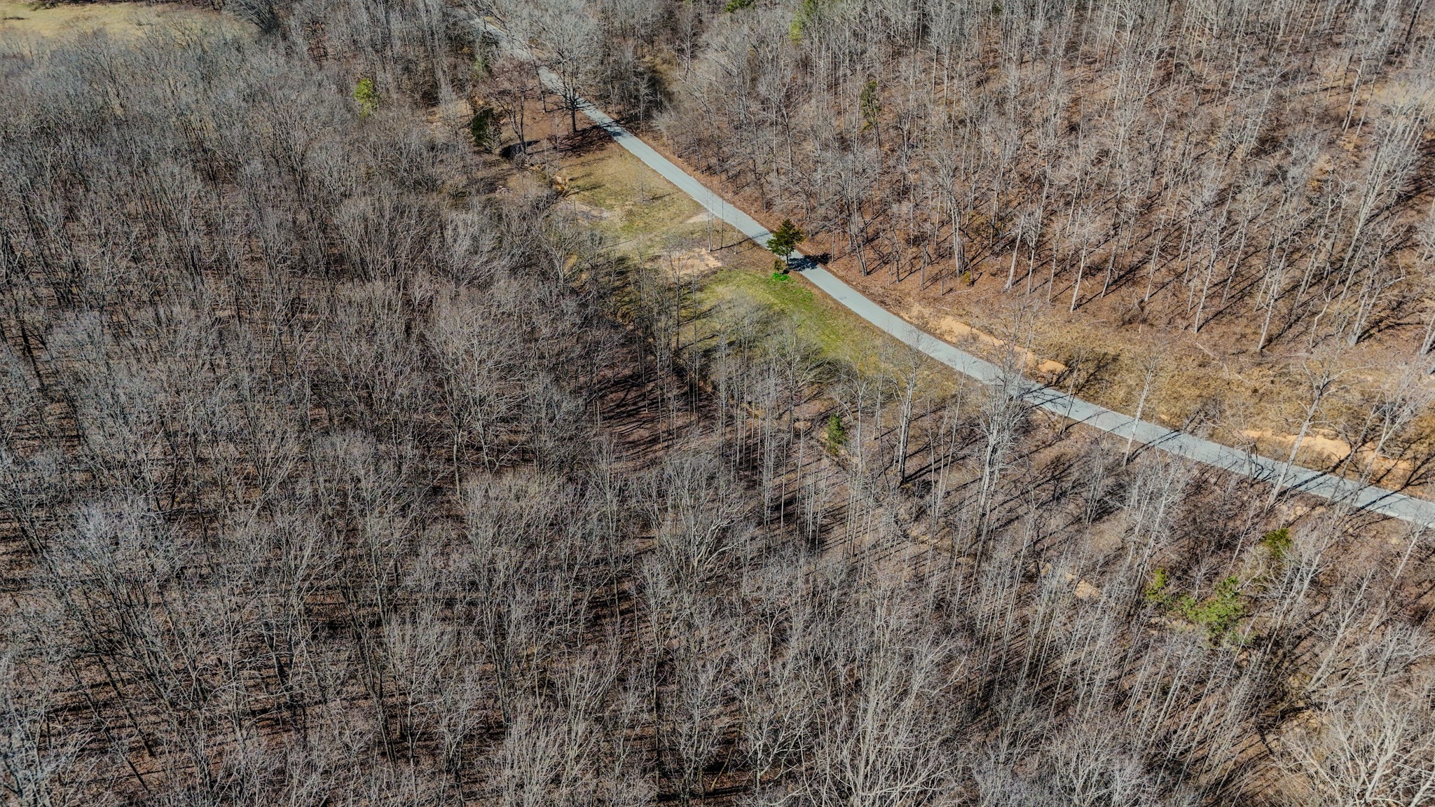 375 Roanoke Creek Road Collinwood, TN 38450 - Photo 14 of 37