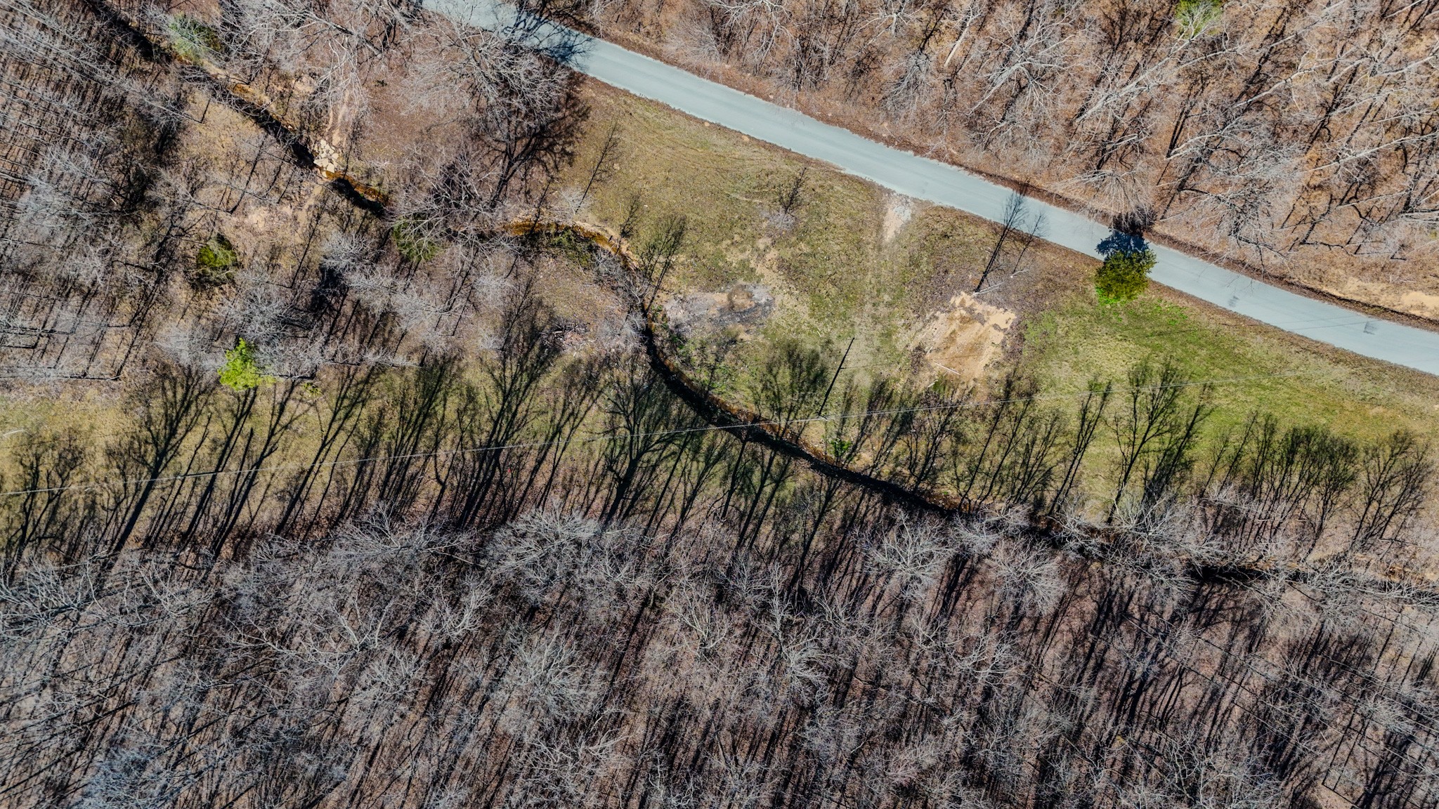 375 Roanoke Creek Road Collinwood, TN 38450 - Photo 15 of 37