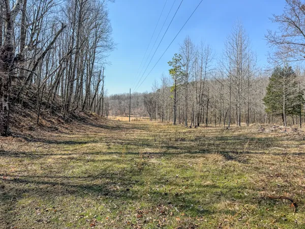 $99,000 | 375 Roanoke Creek Road, Collinwood, TN 38450