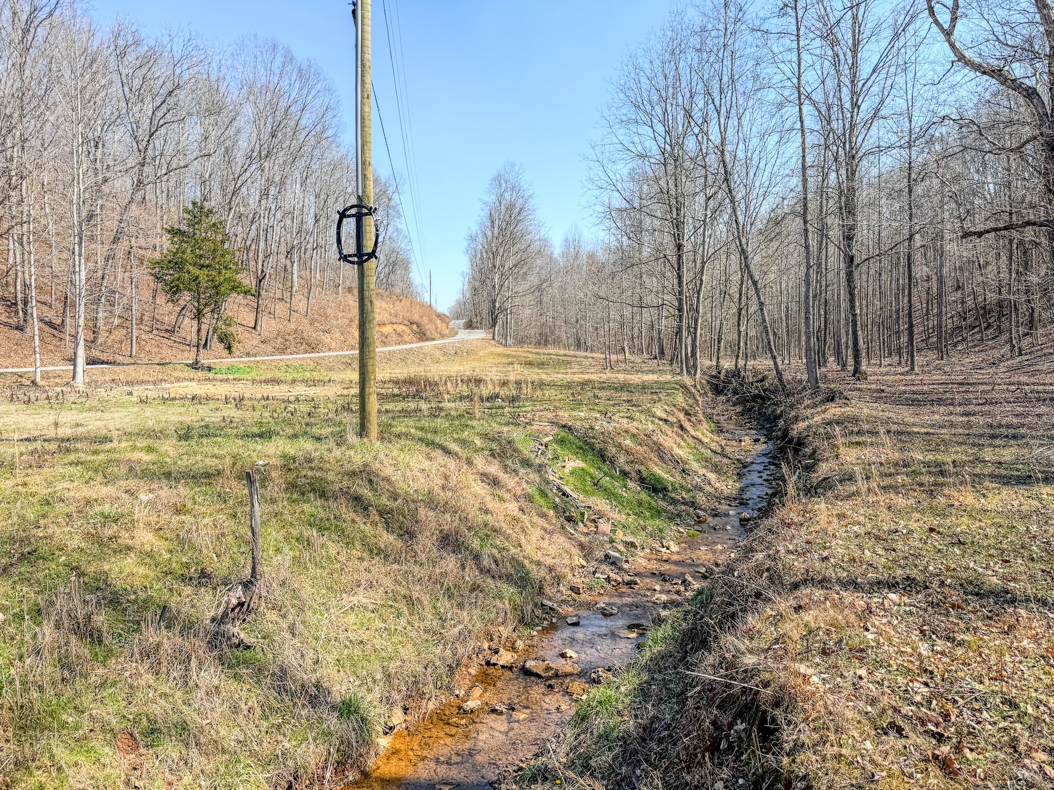 375 Roanoke Creek Road Collinwood, TN 38450 - Photo 20 of 37