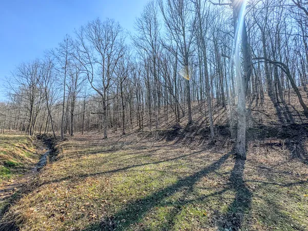 $99,000 | 375 Roanoke Creek Road, Collinwood, TN 38450