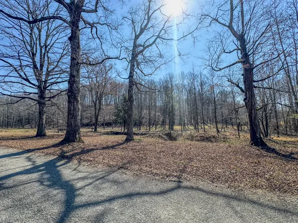 $99,000 | 375 Roanoke Creek Road, Collinwood, TN 38450