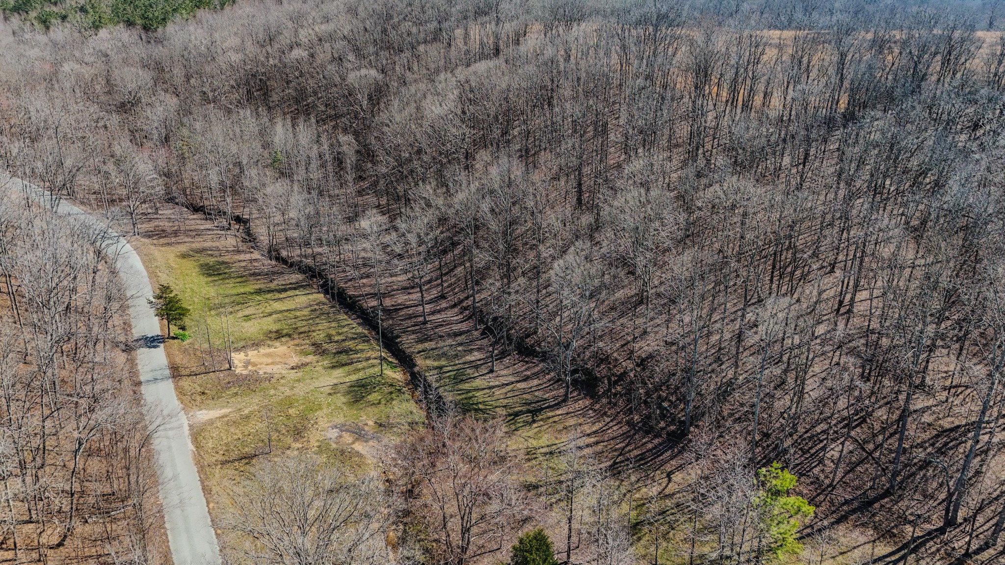 375 Roanoke Creek Road Collinwood, TN 38450 - Photo 23 of 37