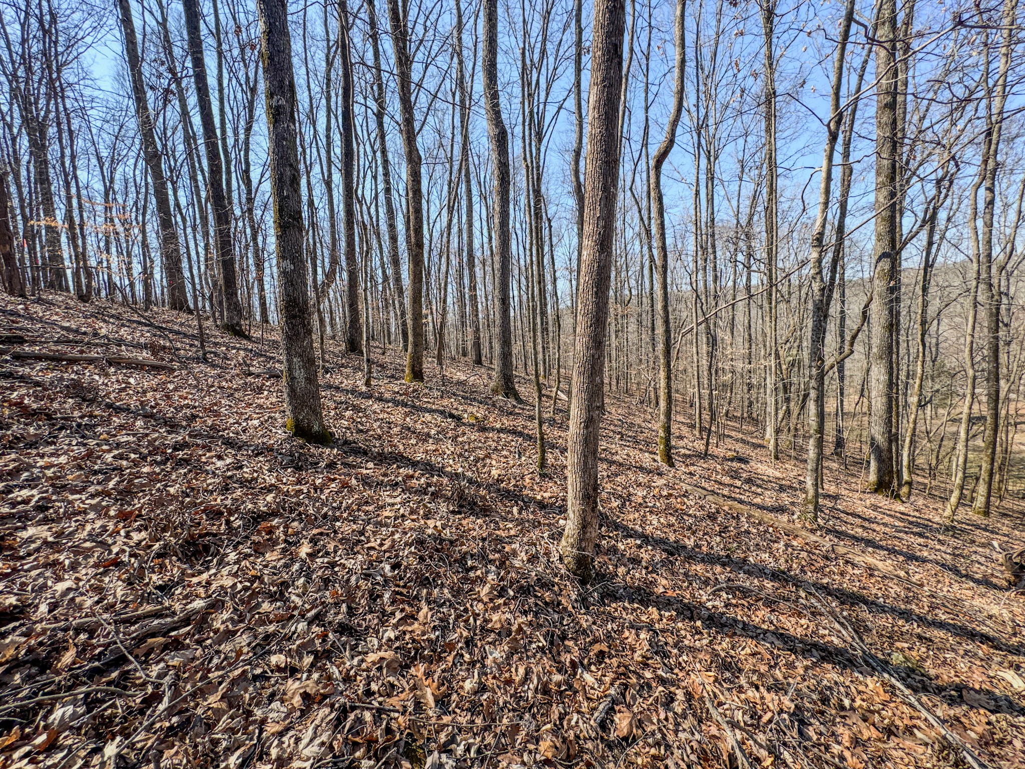 375 Roanoke Creek Road Collinwood, TN 38450 - Photo 25 of 37