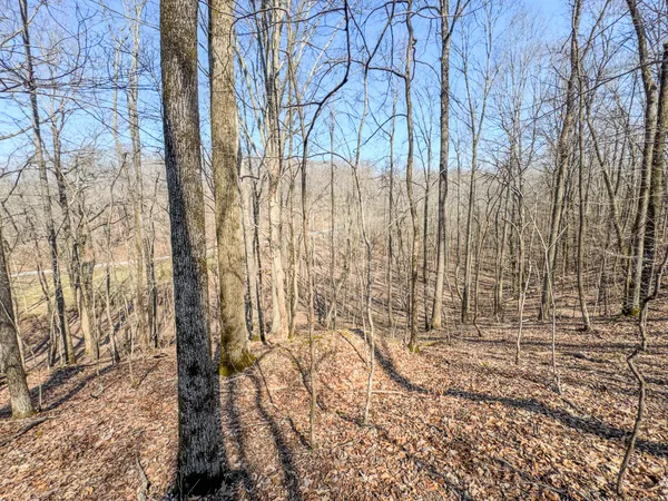 $99,000 | 375 Roanoke Creek Road, Collinwood, TN 38450
