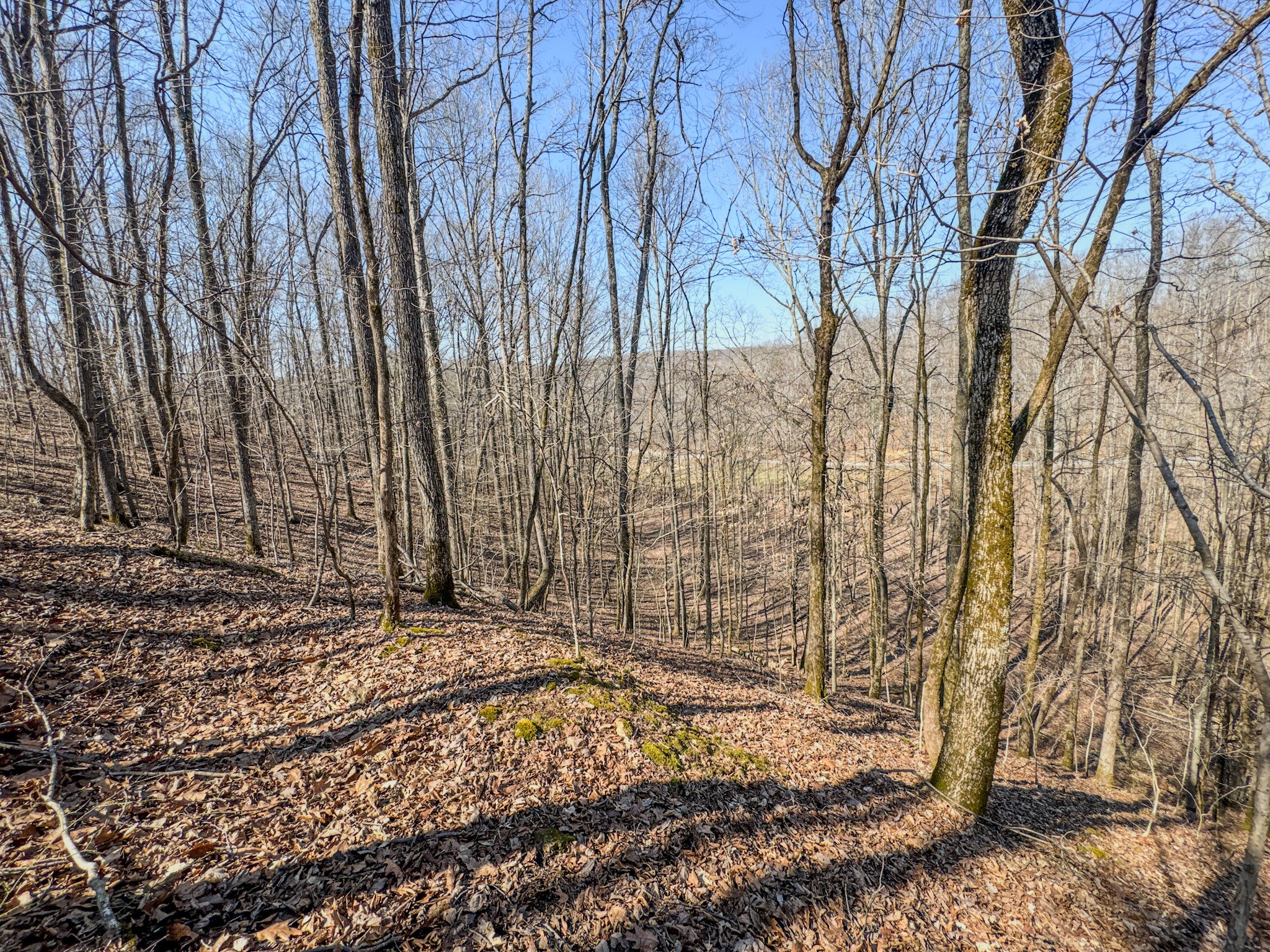 375 Roanoke Creek Road Collinwood, TN 38450 - Photo 27 of 37