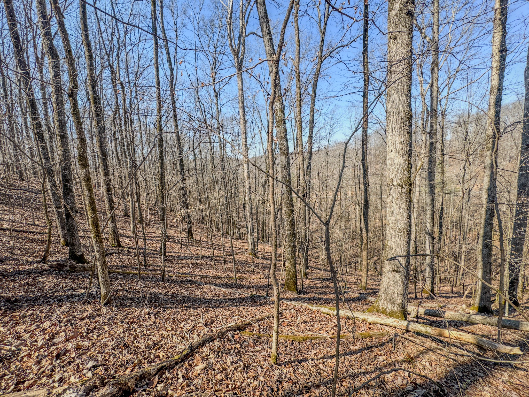 375 Roanoke Creek Road Collinwood, TN 38450 - Photo 28 of 37