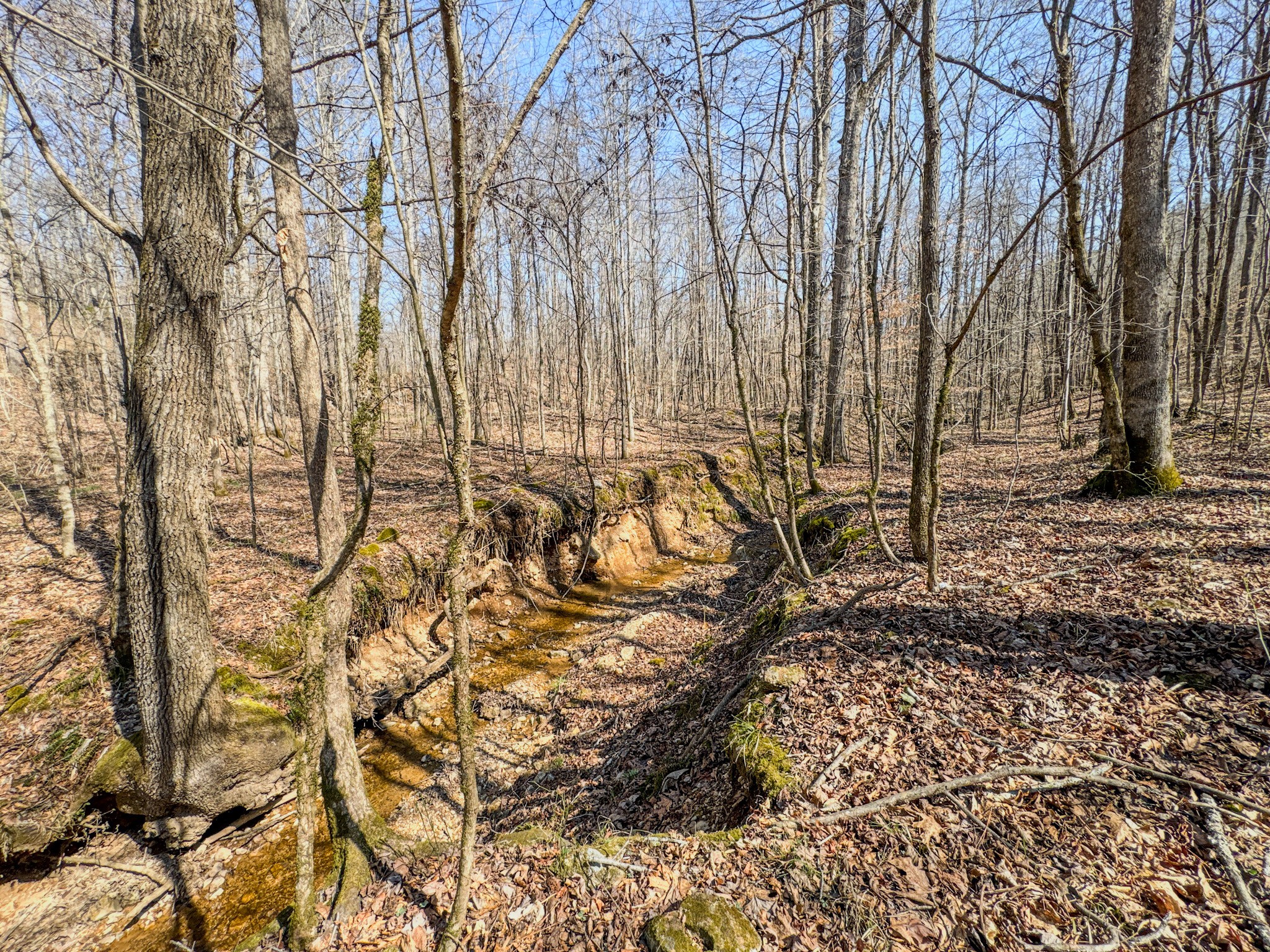 375 Roanoke Creek Road Collinwood, TN 38450 - Photo 31 of 37