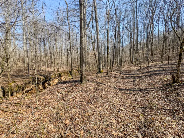 $99,000 | 375 Roanoke Creek Road, Collinwood, TN 38450