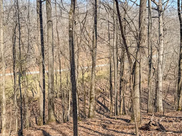 $99,000 | 375 Roanoke Creek Road, Collinwood, TN 38450