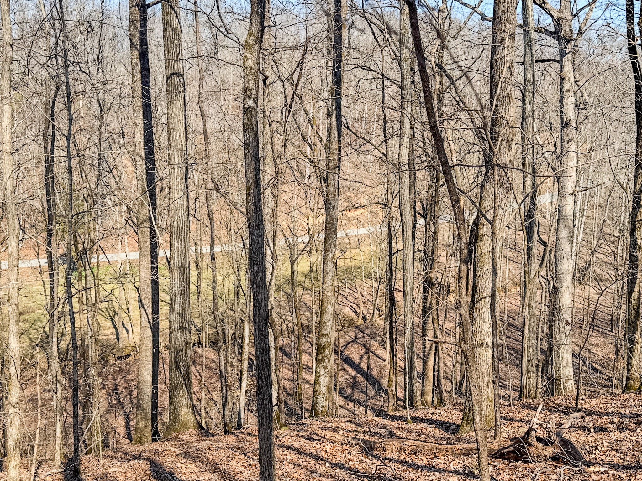 375 Roanoke Creek Road Collinwood, TN 38450 - Photo 33 of 37