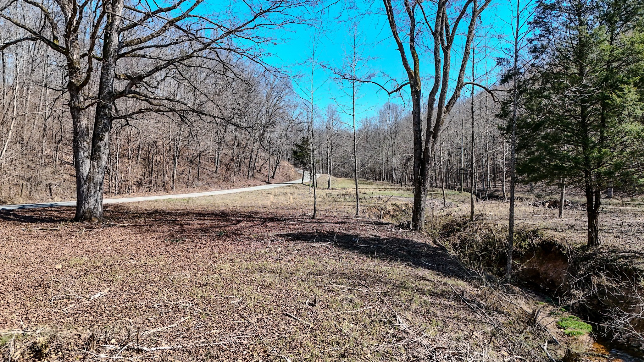 375 Roanoke Creek Road Collinwood, TN 38450 - Photo 34 of 37