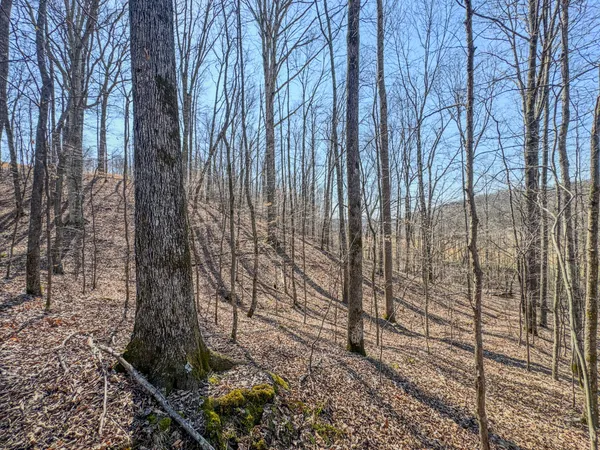$99,000 | 375 Roanoke Creek Road, Collinwood, TN 38450