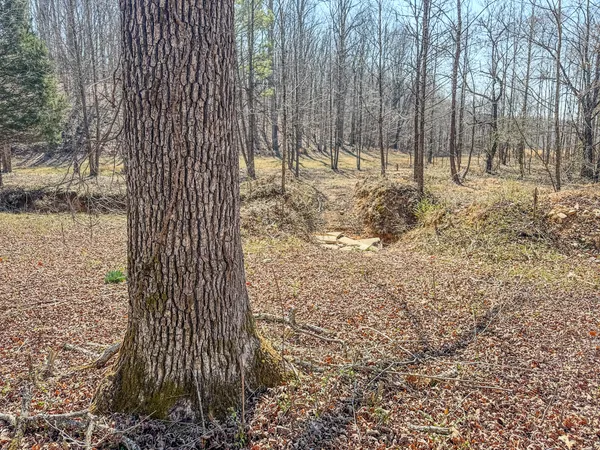 $99,000 | 375 Roanoke Creek Road, Collinwood, TN 38450