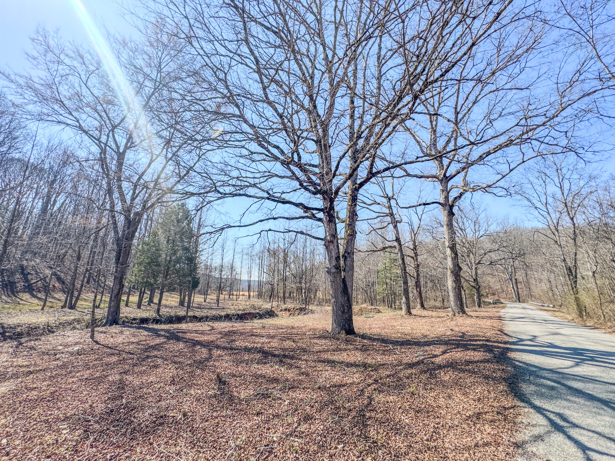 375 Roanoke Creek Road Collinwood, TN 38450 - Photo 7 of 37