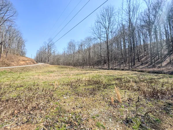$99,000 | 375 Roanoke Creek Road, Collinwood, TN 38450
