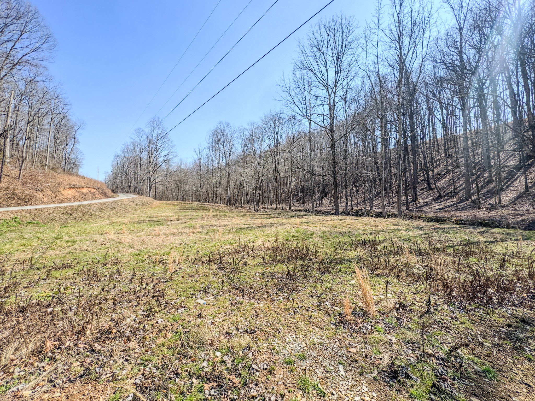 375 Roanoke Creek Road Collinwood, TN 38450 - Photo 8 of 37