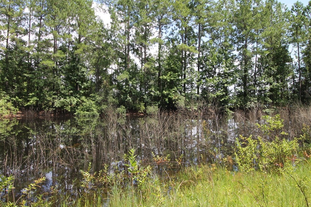 5380 Knights Ferry Road Valdosta, GA 31601 - Photo 24 of 25 Gallery Image 24