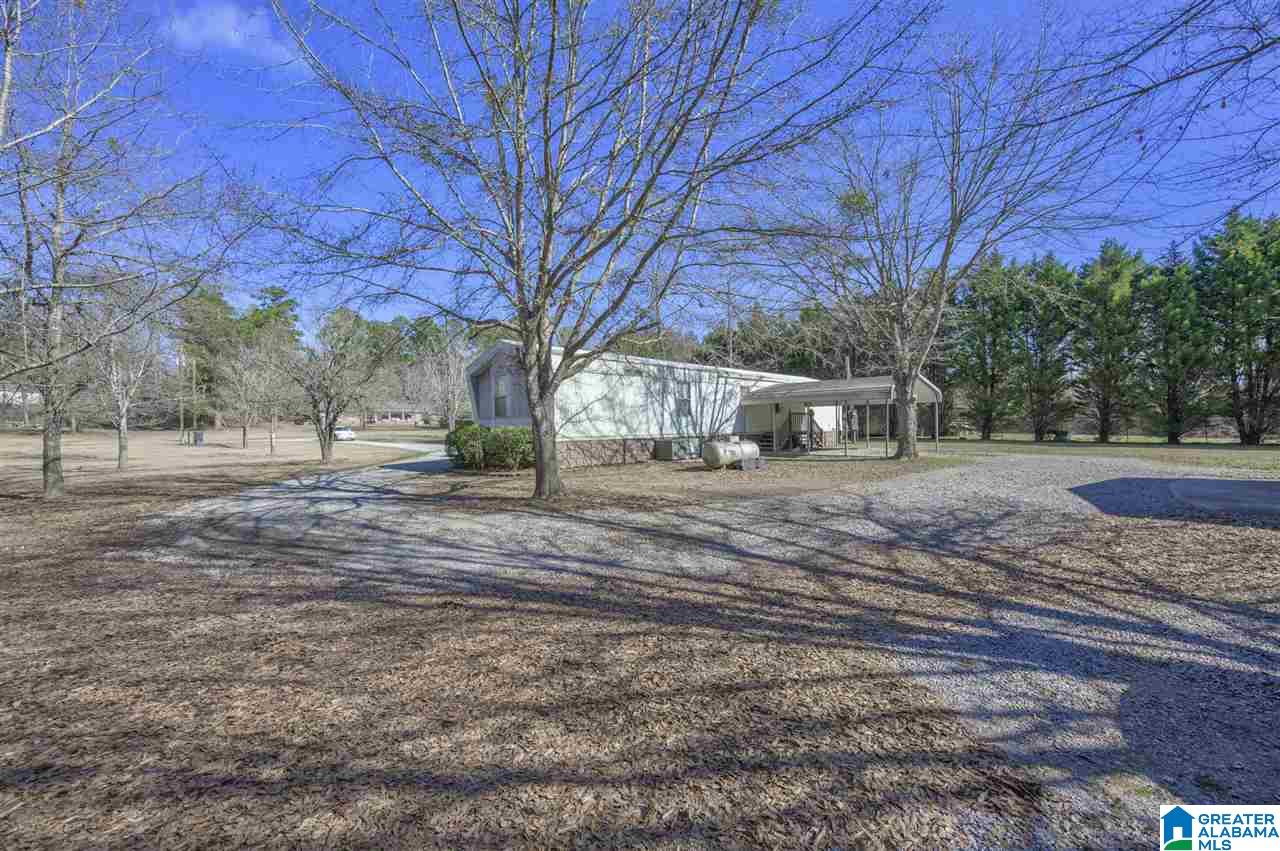 270 Spearman Street Wilsonville, AL 35186 - Photo 8 of 21