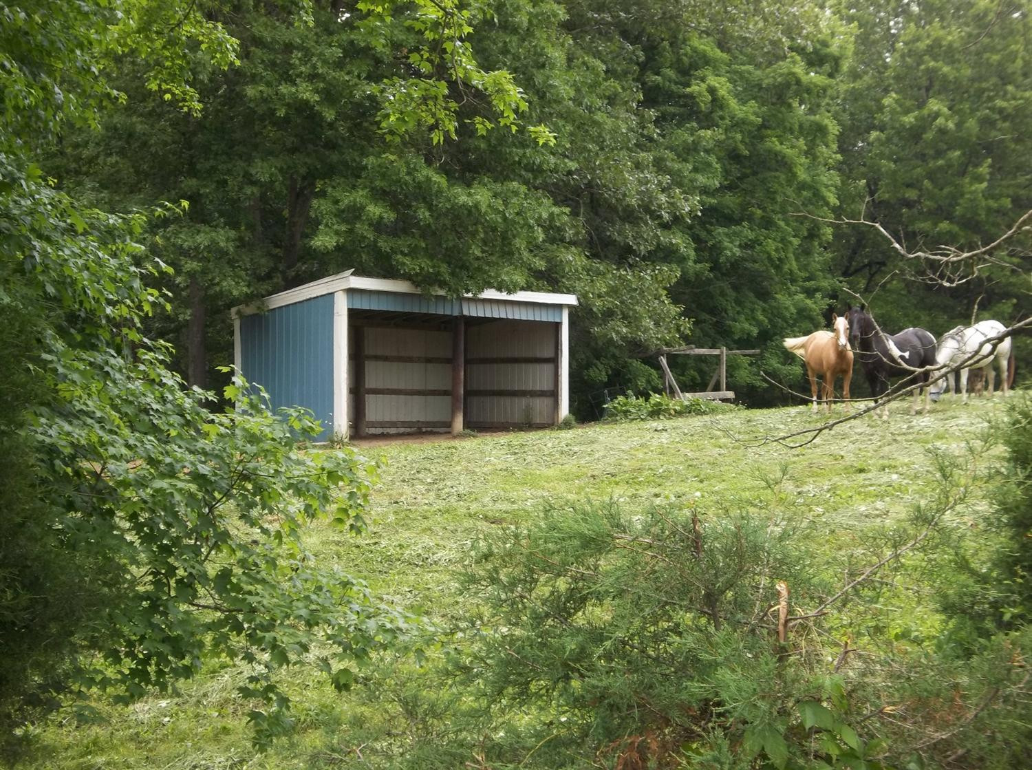 9635 Napoleon-Zion Station Road Dry Ridge, KY 41035 - Photo 23 of 24