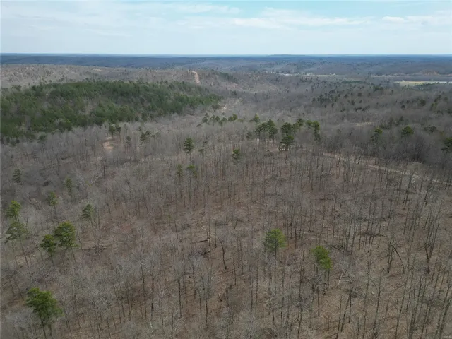 $54,845 | 0 Madison Cr, Fredericktown, MO 63645