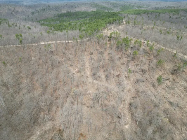 $54,845 | 0 Madison Cr, Fredericktown, MO 63645