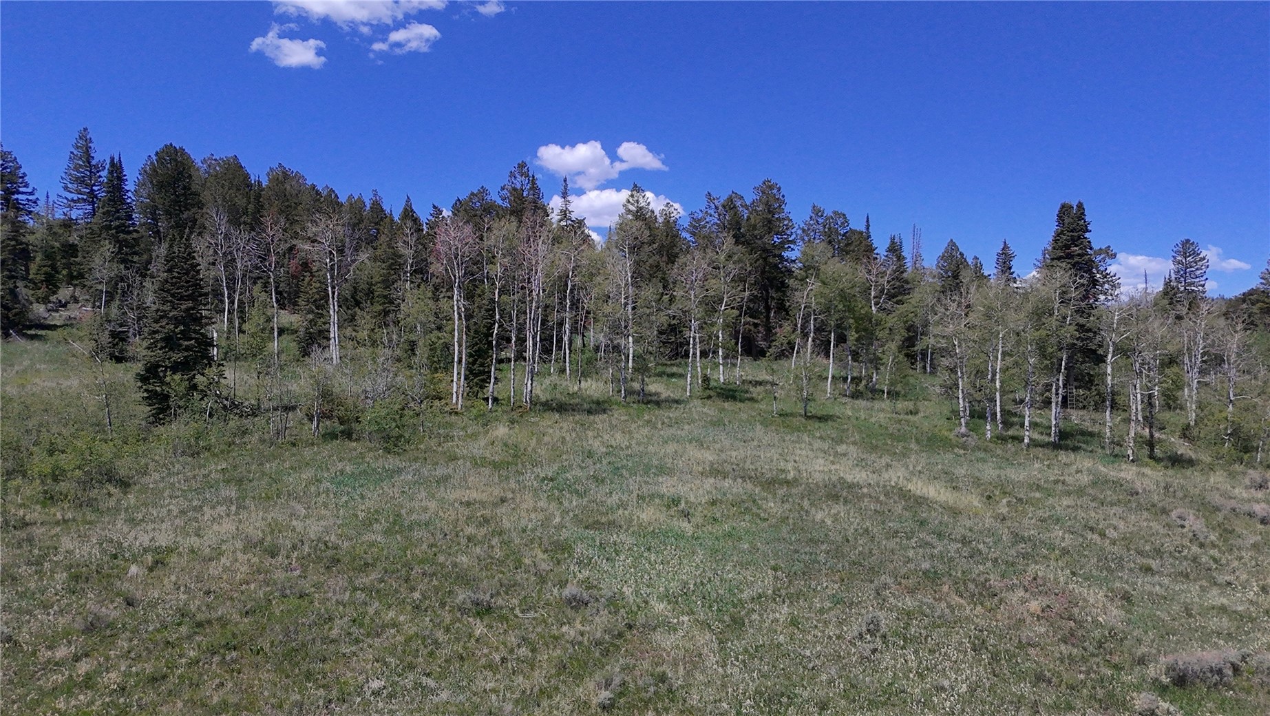 Tbd Spring Creek Ranch Road Silverthorne, CO 80498 - Photo 35 of 48