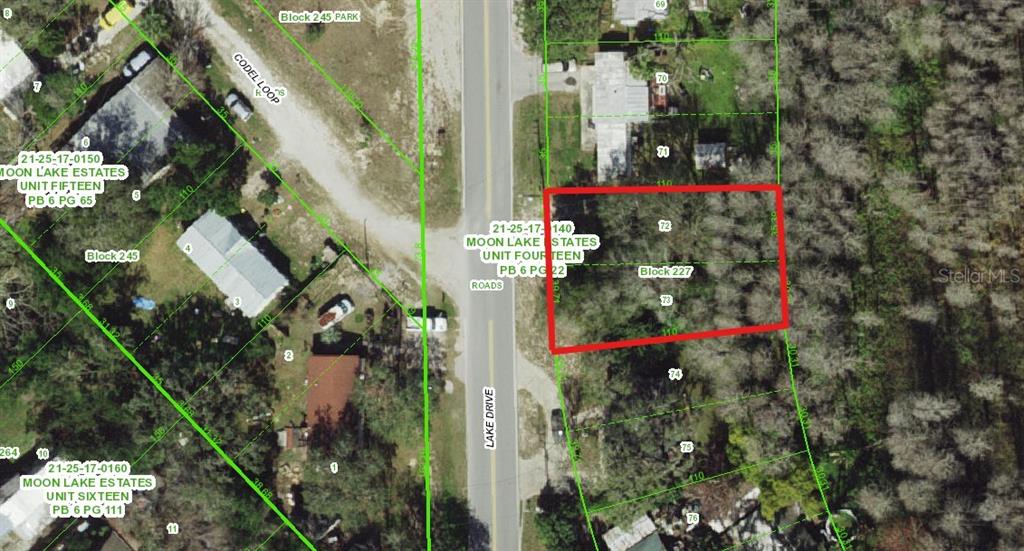 9130 Lake Drive New Port Richey, FL 34654 - Photo 2 of 8