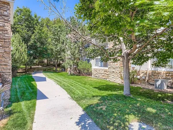 a view of a park with large trees
