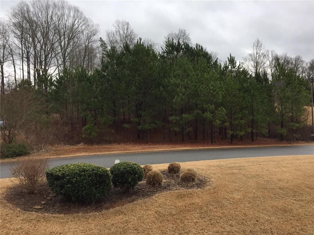 93 Tower Trace Canton, GA 30115 - Photo 1 of 1 a view of a yard