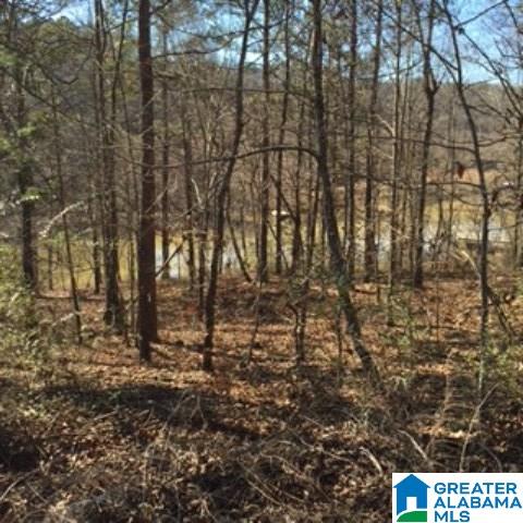 338 Davis Acres Drive, Unit 1 Alpine, AL 35014 - Photo 15 of 19