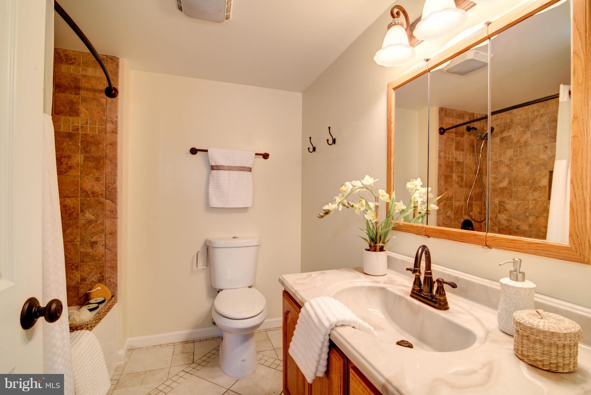 15840 Lockwood Road Williamsport, MD 21795 - Photo 22 of 30 Bath (Master)