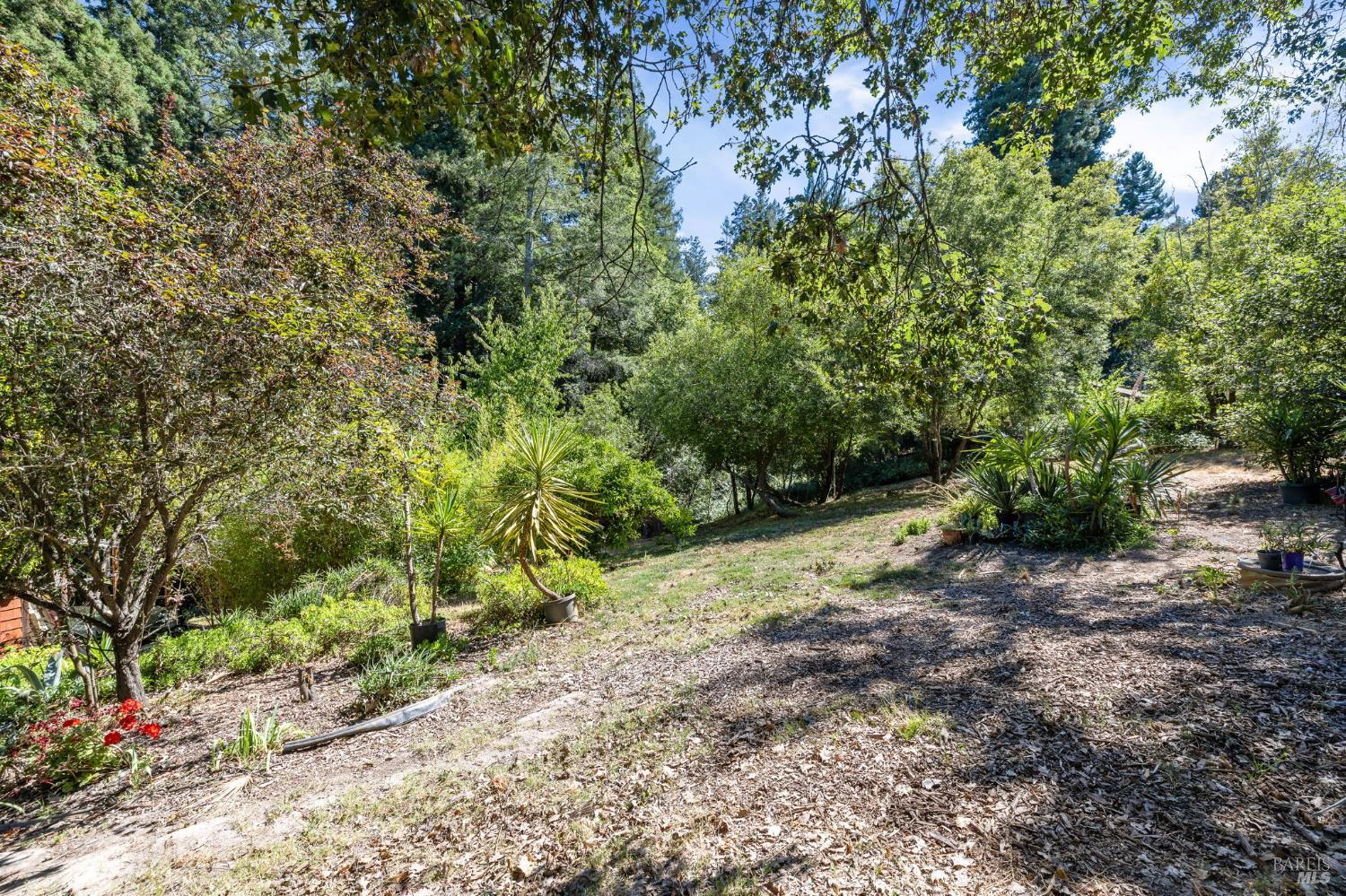 9935 Occidental Road Sebastopol, CA 95472 - Photo 51 of 59 Plenty of sun for gardening!