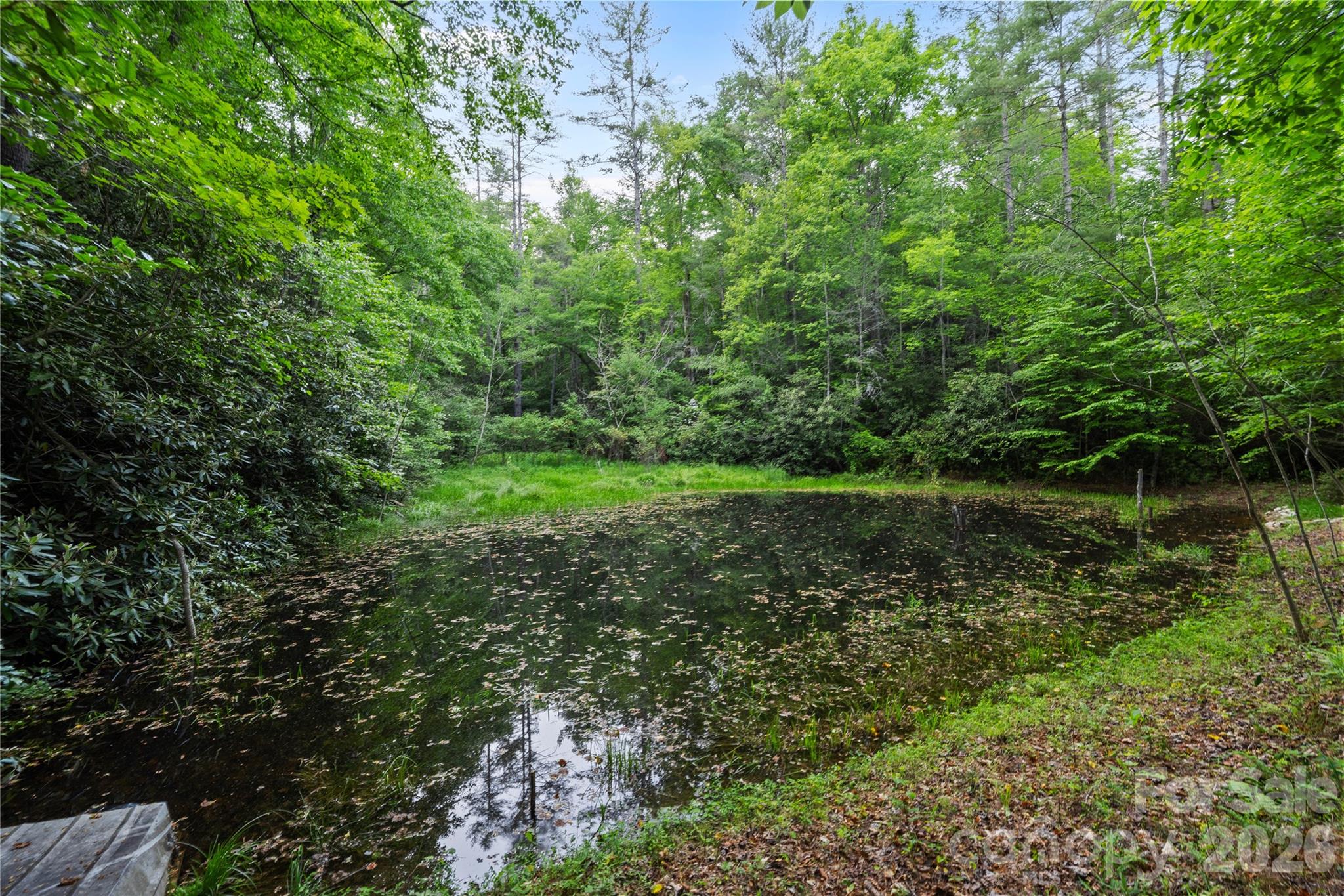 6029 Mulberry Church Road Lenoir, NC 28645 - Photo 13 of 48