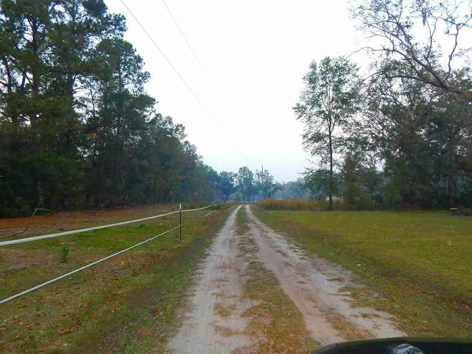 910 Bachelor Hill Road Walterboro, SC 29488 - Photo 5 of 55 20161116034208350620000000-o