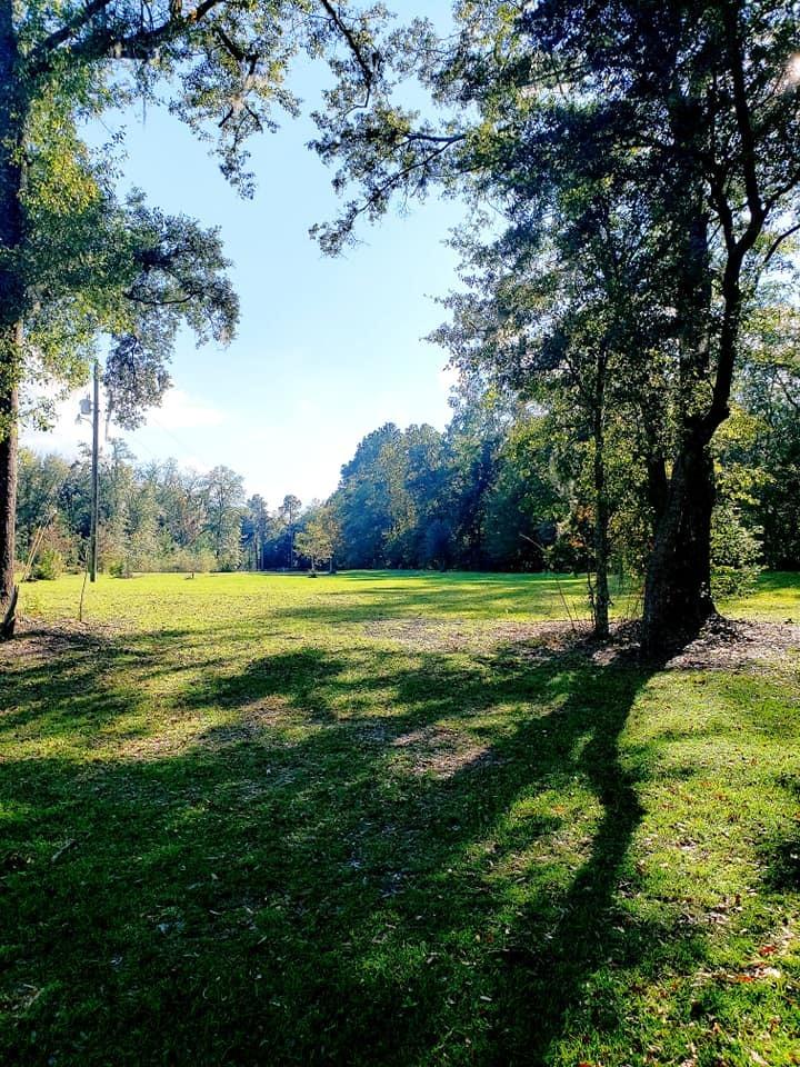 910 Bachelor Hill Road Walterboro, SC 29488 - Photo 48 of 55 125566772_10214920686165264_908845429745