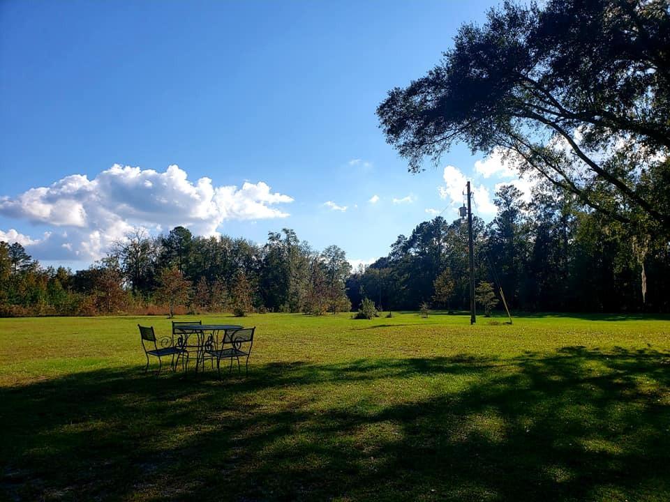 910 Bachelor Hill Road Walterboro, SC 29488 - Photo 50 of 55 125538140_10214920684965234_689369896198