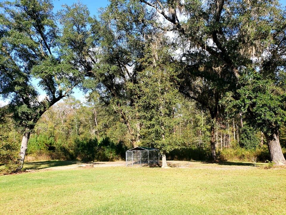 910 Bachelor Hill Road Walterboro, SC 29488 - Photo 51 of 55 125534253_10214920684685227_610852252963