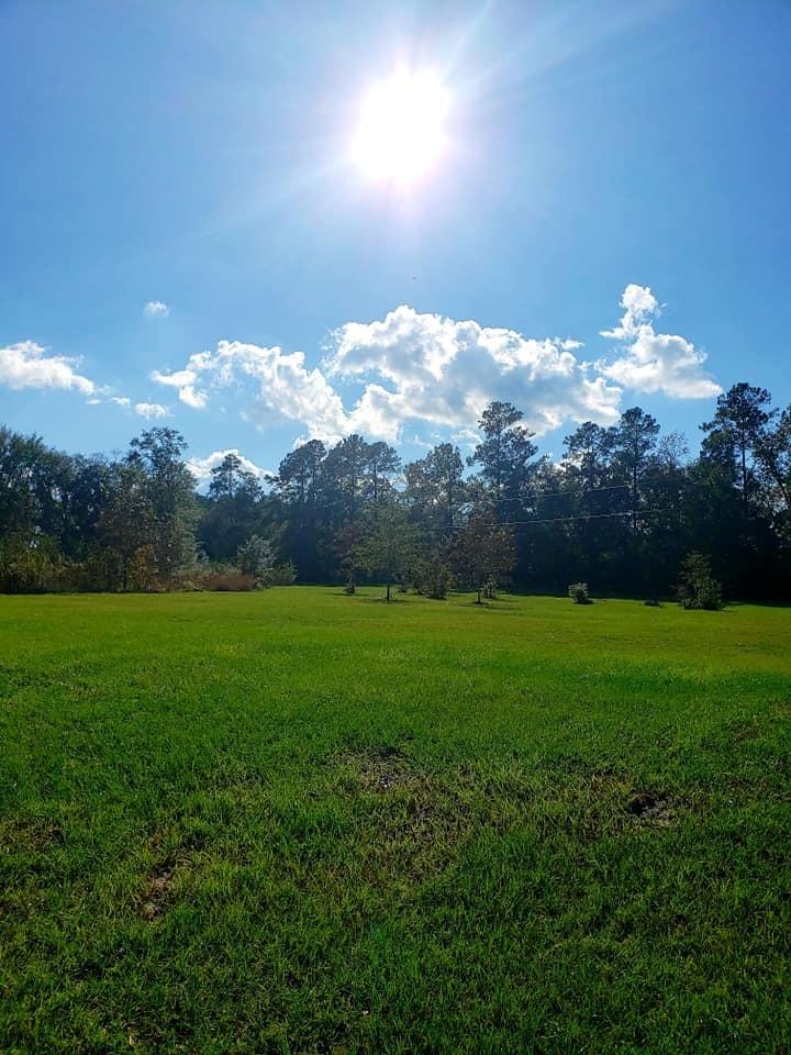 910 Bachelor Hill Road Walterboro, SC 29488 - Photo 53 of 55 125570355_10214920683245191_503921631655